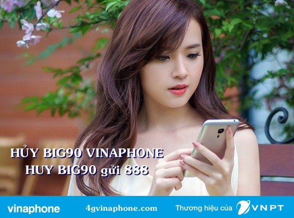 Cách hủy gói BIG90 Vinaphone