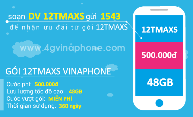 Đăng ký gói cước 12TMAXS Vinaphone