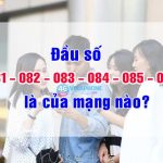 Đầu số 081, 082, 083, 084, 085, 088 là của mạng nào