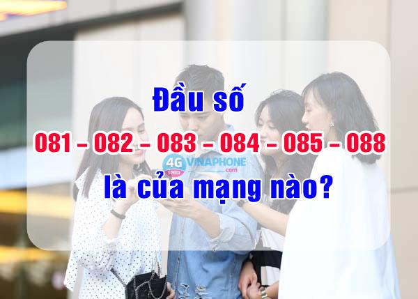 Đầu số 081, 082, 083, 084, 085, 088 là của mạng nào