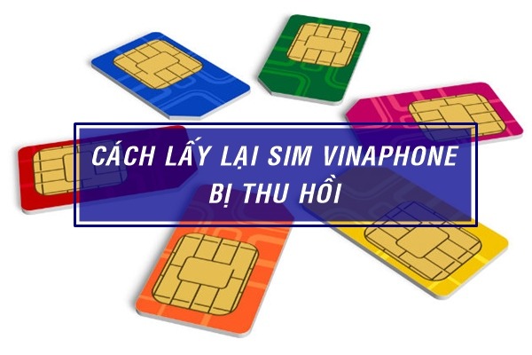 Cách lấy lại Sim Vinaphone bị thu hồi