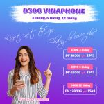 Cách đăng ký gói D30G Vinaphone chu kỳ dài 3 tháng, 6 tháng, 12 tháng