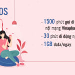 Đăng ký gói D30S Vinaphone có data và gọi miễn phí 30 ngày