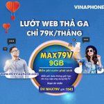 Hướng dẫn cách đăng ký gói cước MAX79V Vinaphone ưu đãi combo 2 trong 1