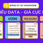 Hướng dẫn đăng ký 4G Vinaphone ưu đãi khủng