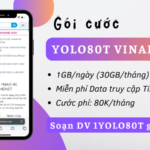 Đăng ký gói cước YOLO80T Vinaphone có 30GB, truy cập Tiktok/MY TV thả ga