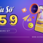 Đầu số 059 là của mạng nào?