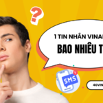 1 tin nhắn Vinaphone bao nhiêu tiền?