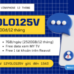 Đăng ký gói cước 12YOLO125V Vinaphone miễn phí data siêu khủng