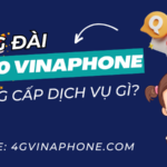 Tổng đài 900 Vinaphone là gì?