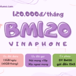 Đăng ký gói cước BM120 Vinaphone nhận 45GB/tháng, miễn phí gọi trong nước