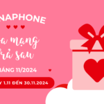 Vinaphone khuyến mãi hòa mạng trả sau tháng 11/2024