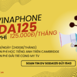 Đăng ký gói cước SODA125 Vinaphone nhận 240GB/tháng và vô vàn những tiện ích khác