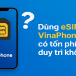 Dùng eSim Vinaphone có tốn phí duy trì hàng tháng không?